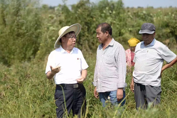 �ƽ���³�