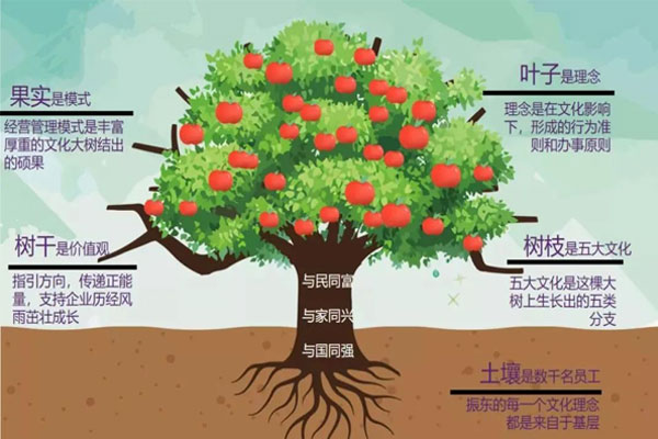 rg�ʼ���Ѷ �����ֵ��