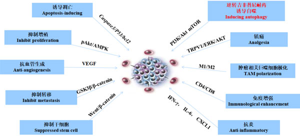 �������ע��Һ���û���