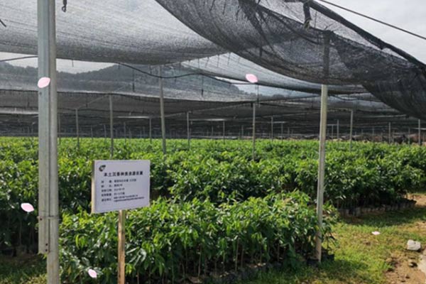 ³ÁÏã²úÒµÔ° ³ÁÏã²úÒµÔ°