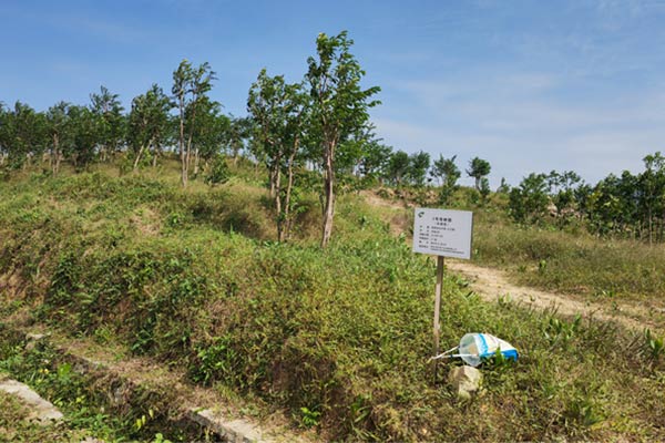 ³ÁÏã²úÒµÔ° ³ÁÏã²úÒµÔ°