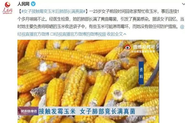 ����ù����