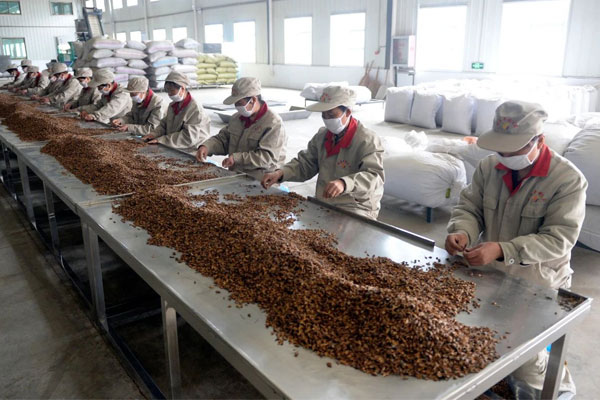 rg�ʼ���Ѷ��ҩ��