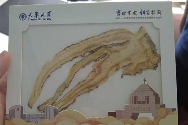 ��ҳ-RG�ʼ���Ѷ���ٷ���վ