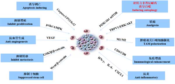 �������ע��Һ