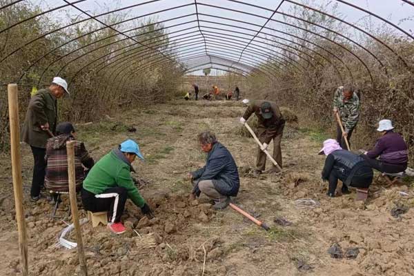 �ʰ���ʹ,rg�ʼ���Ѷ,��ҩ��