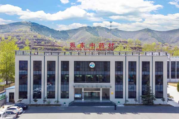 rg�ʼ���Ѷ��ҩ��