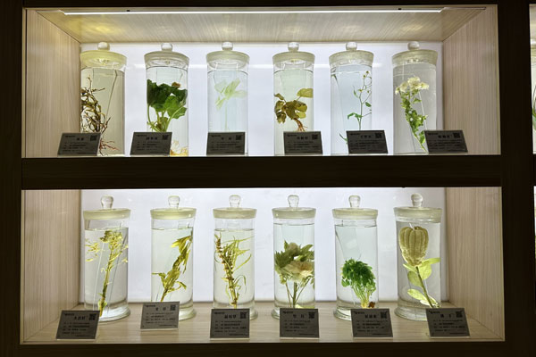 rg�ʼ���Ѷ�Ƽ���������ڷŵ���ҩ�걾