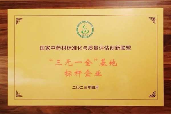 rg»Ê¼ÒÊÓѶ,rg»Ê¼ÒÊÓѶ rg»Ê¼ÒÊÓѶ,rg»Ê¼ÒÊÓѶ