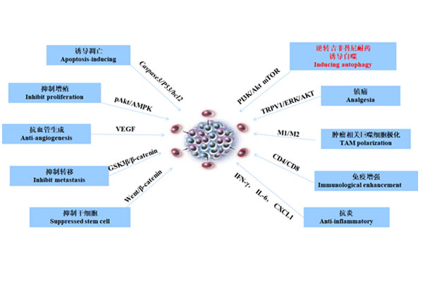 岩舒复方苦参注射液,复方苦参注射液,岩舒 岩舒复方苦参注射液,复方苦参注射液,岩舒