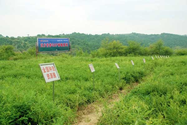 ÑÒÊæ,¸´·½¿à²Î×¢ÉäÒº,rg»Ê¼ÒÊÓѶ ÑÒÊæ,¸´·½¿à²Î×¢ÉäÒº,rg»Ê¼ÒÊÓѶ