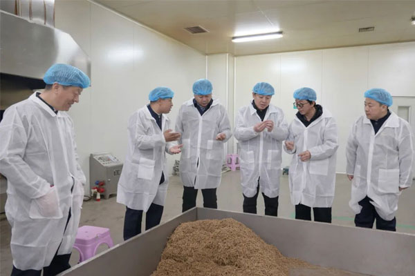 Ê×Ò³-RG»Ê¼ÒÊÓѶÌü¹Ù·½ÍøÕ¾