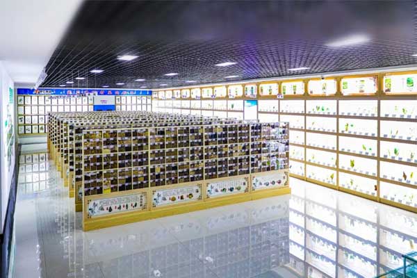 rg�ʼ���Ѷ�Ƽ�������ҩ�걾��