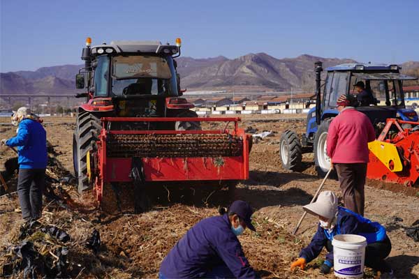 rg�ʼ���Ѷ,rg�ʼ���Ѷ,��������,��ҩ��,��ҩ�Ĳ�ҵ