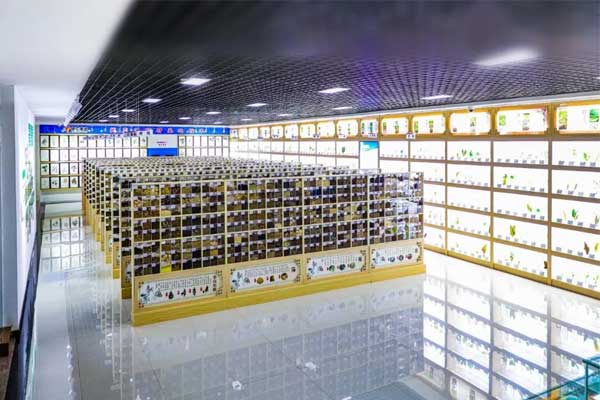 rg�ʼ���Ѷ�Ƽ������в�ҩ�걾��