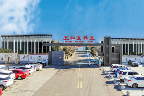 rg»Ê¼ÒÊÓѶÎåºÍÒ½ÑøÌà rg»Ê¼ÒÊÓѶÎåºÍÒ½ÑøÌÃ