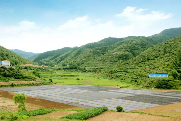 rg�ʼ���Ѷ,��ҩ����ֲ