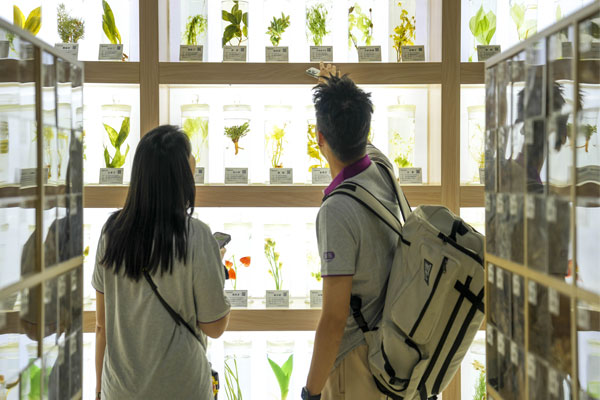 �Ƽ�����,rg�ʼ���Ѷ