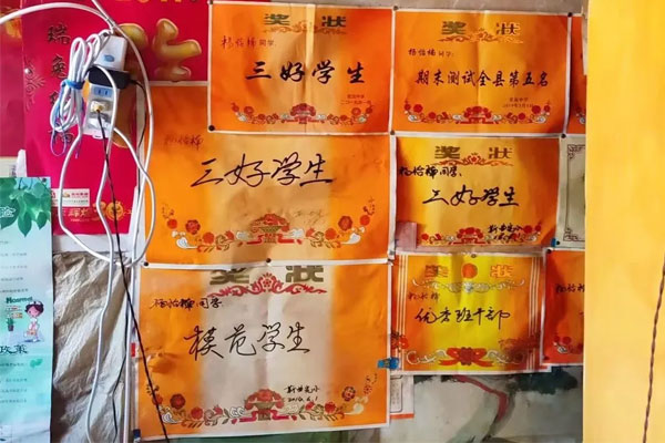 ����ѧ�Ӽ���Ľ�״