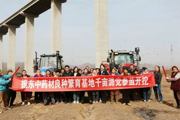 rg�ʼ���Ѷ,rg�ʼ���Ѷ��ҩ��,��ҩ��