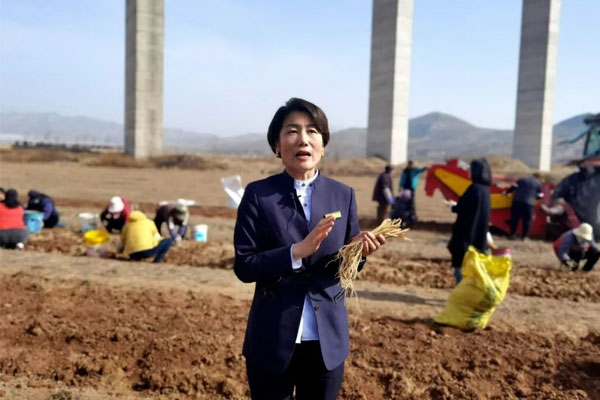 rg�ʼ���Ѷ��ҩ�Ĺ�˾���³�������