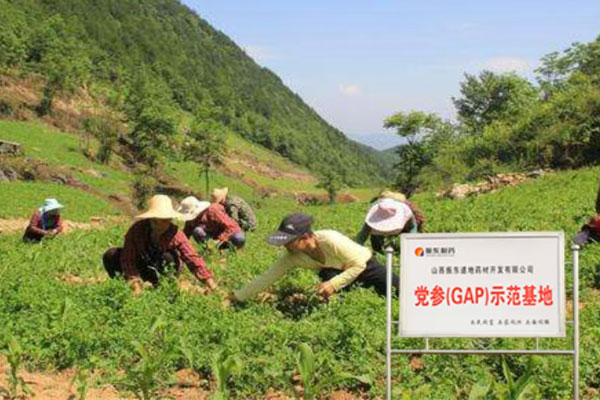 rg�ʼ���Ѷ,rg�ʼ���Ѷ��ҩ��,��ҩ��